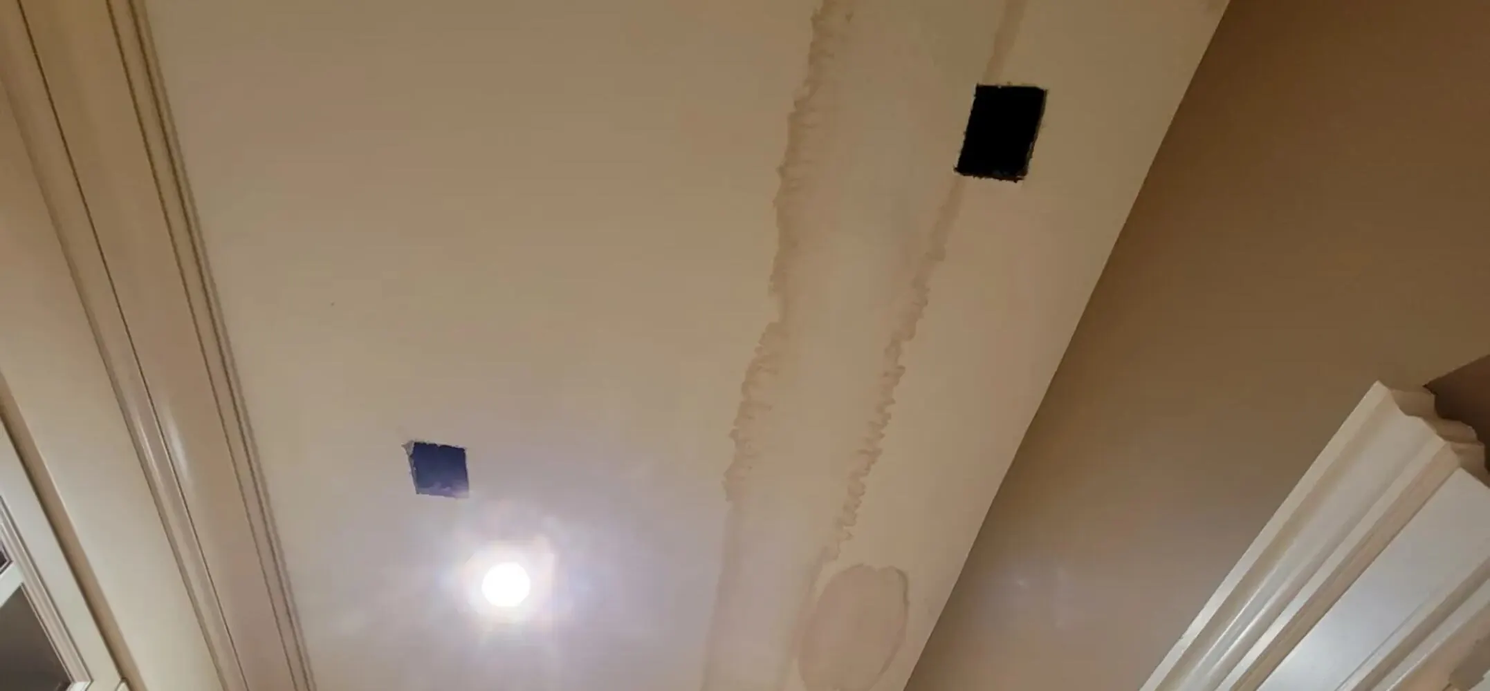 Hidden Ceiling Leak Found with Thermal Imaging — Tarrytown, Austin