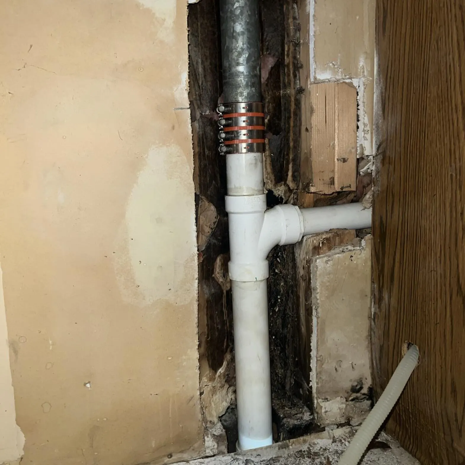 Laundry Drain Leak: Wall & Subfloor Mitigation — Pflugerville