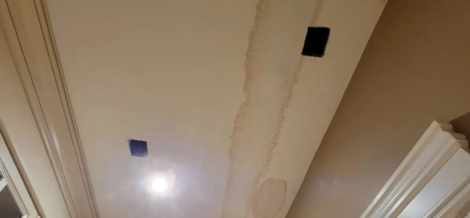 Leak Detection & Moisture Mapping in Austin, TX
