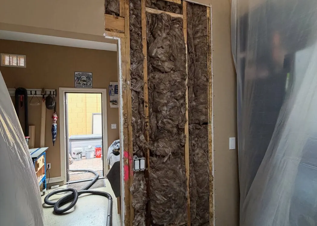 Mold Remediation — work in progress in Austin